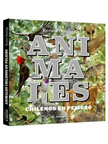 Animales Chilenos En Peligro 1