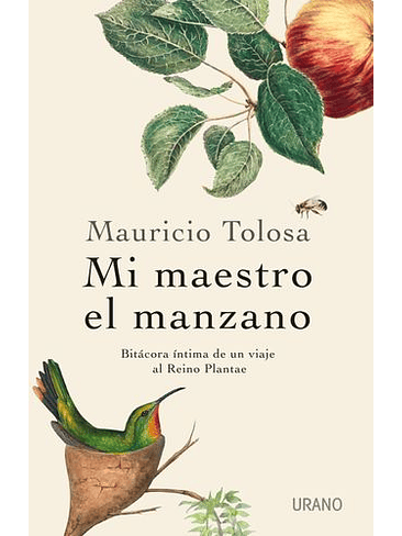 Mi Maestro El Manzano  1