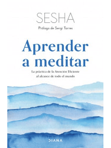 Aprender A Meditar 1