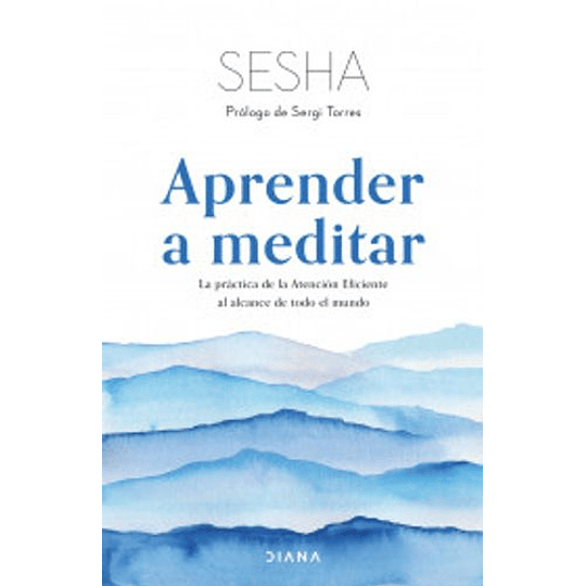 Aprender A Meditar