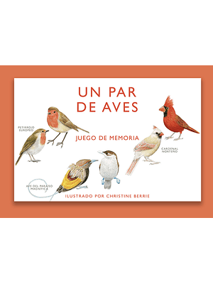 Un Par De Aves Juego De Memoria