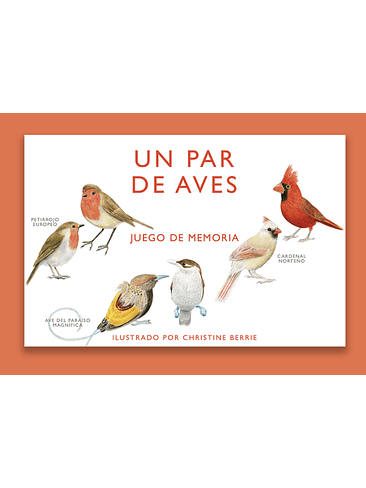 Un Par De Aves Juego De Memoria 1