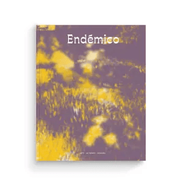 Revista Endemico 11