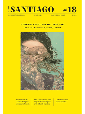 Revista Santiago 18