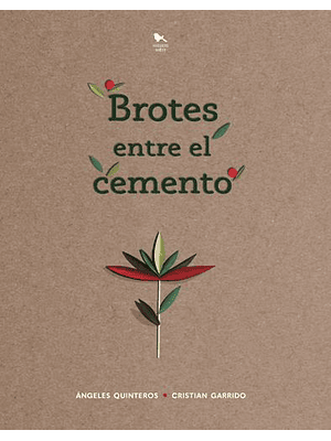 Brotes Entre El Cemento