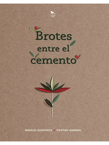 Brotes Entre El Cemento 1