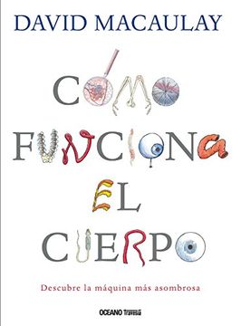 Como Funciona El Cuerpo 1