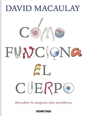 Como Funciona El Cuerpo