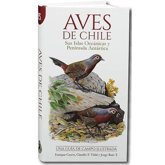 Aves De Chile Una Guia De Campo Ilustrada