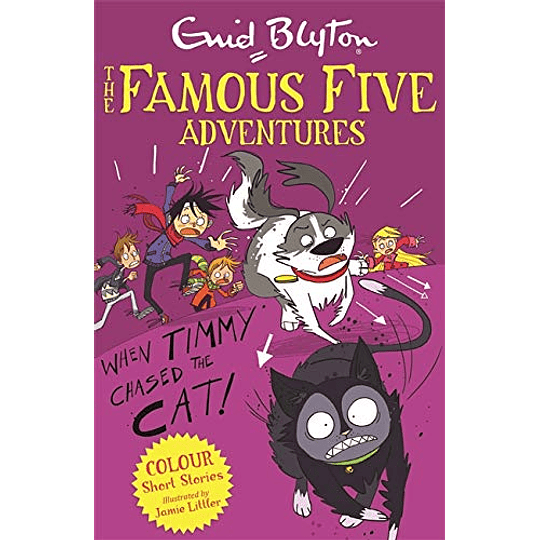 The Famous Five Adventures When Timmy Chased The Cat