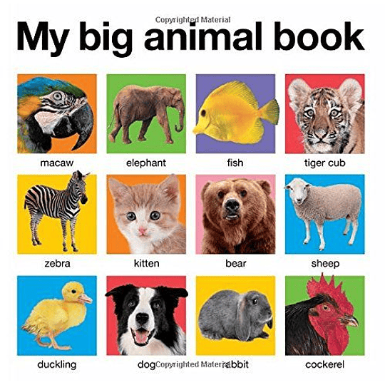 My Big Animal Book (Bb)