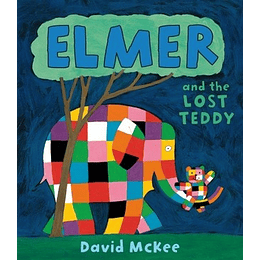 Elmer And The Lost Teddy (Tb)