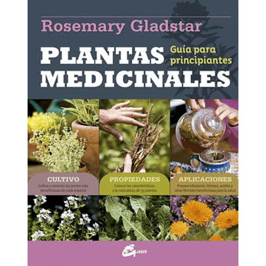 Plantas Medicinales Guia Para Principiantes