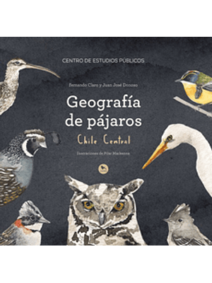 Geografia De Pajaros Chile Central