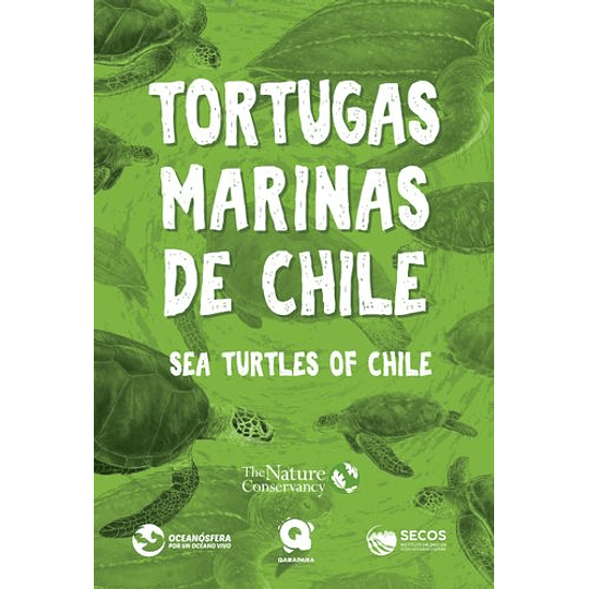 Tortugas Marinas De Chile