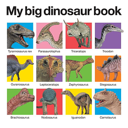 My Big Dinosaur Book (Bb)
