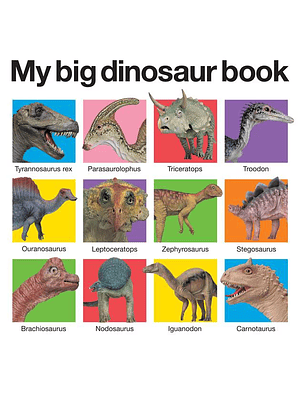 My Big Dinosaur Book (Bb)