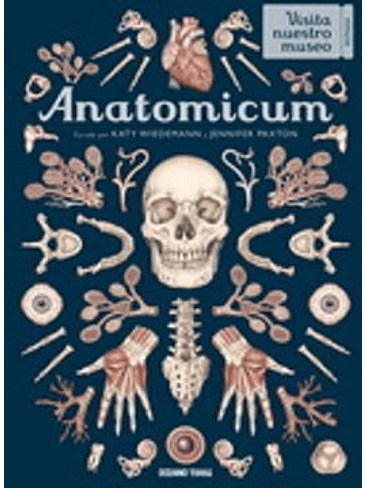 Anatomicum 1