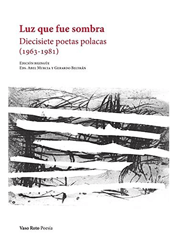 Luz Que Fue Sombra Diecisiete Poetas Polacas 1