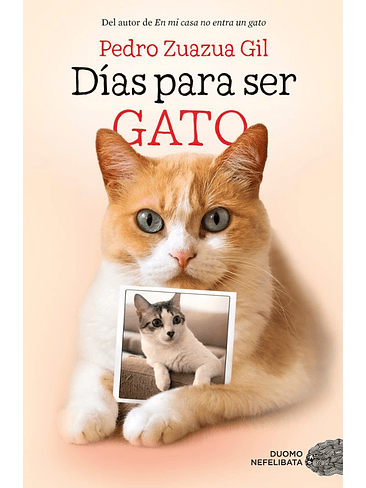 Dias Para Ser Gato 1