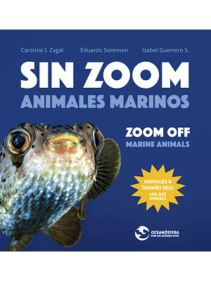 Sin Zoom Animales Marinos