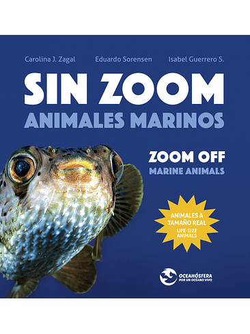 Sin Zoom Animales Marinos 1