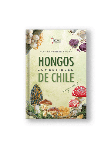 Hongos Comestibles De Chile 1