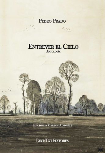 Entrever El Cielo 1