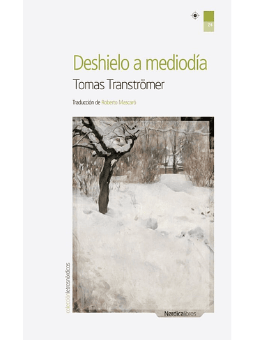 Deshielo A Mediodia 1