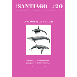 Revista Santiago 20