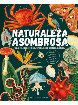 Naturaleza Asombrosa