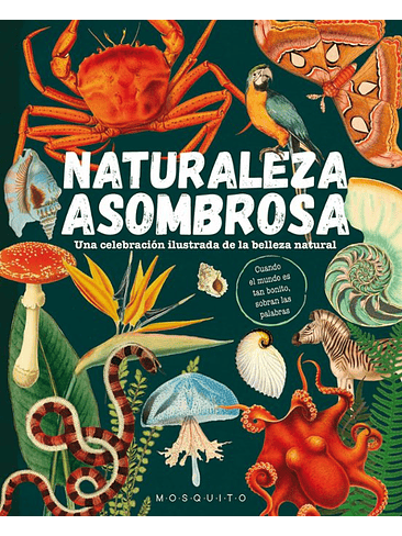 Naturaleza Asombrosa 1