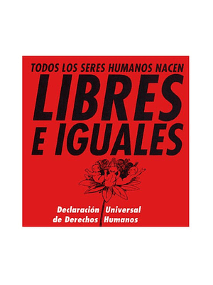 Todos Lo Seres Humanos Nacen Libres E Iguales