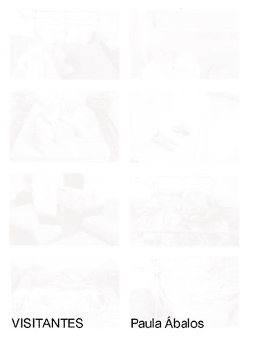 Visitantes 1