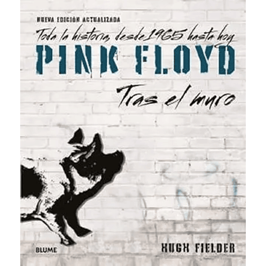 Pink Floyd Tras El Muro