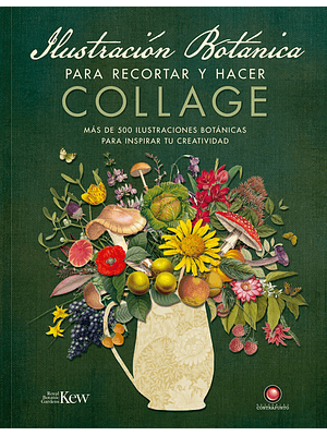 Ilustracion Botanica Para Recortar Y Hacer Collage