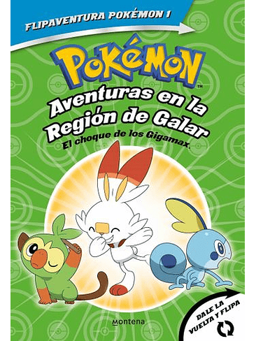 Pokemon Aventuras En La Region De Galar 1