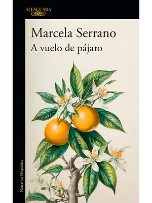 A Vuelo De Pajaro