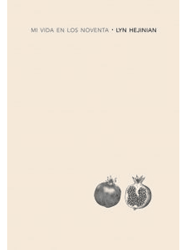 Mi Vida En Los Noventa 1