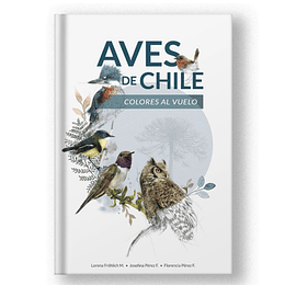 Aves De Chile Colores Al Vuelo