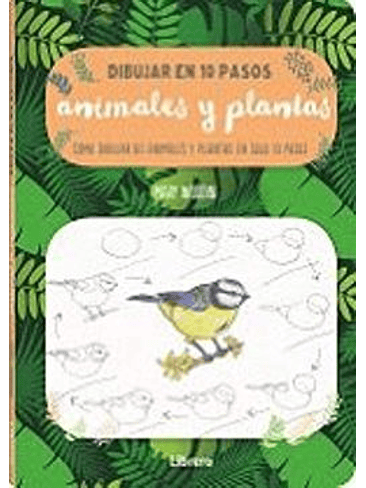 Dibujar En 10 Pasos Animales Y Plantas 1