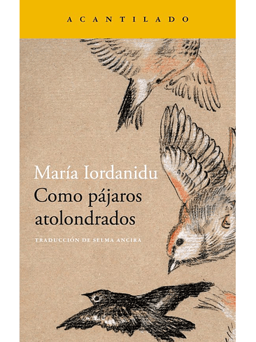 Como Pajaros Atolondrados 1