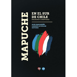 Mapuche En El Sur De Chile