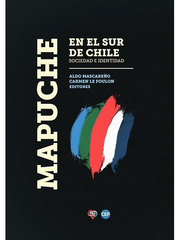 Mapuche En El Sur De Chile 1