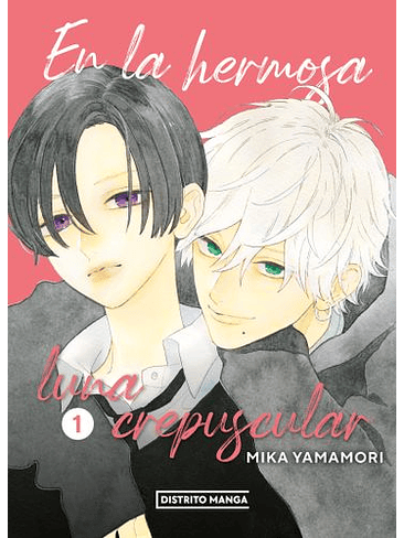 En La Hermosa Luna Crepuscular 1 1