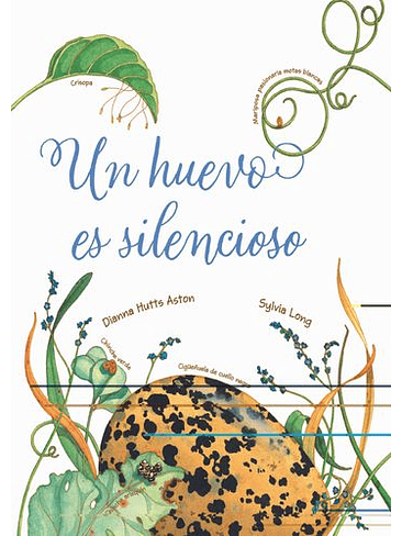 Un Huevo Es Silencioso  1