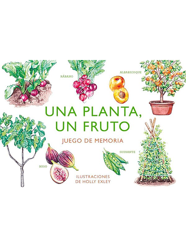 Una Planta, Un Fruto Juego De Memoria 1