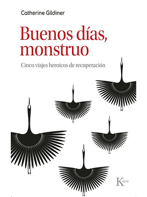 Buenos Dias Monstruo. Cinco Viajes Heroicos De Recuperacion