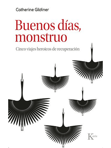 Buenos Dias Monstruo. Cinco Viajes Heroicos De Recuperacion 1