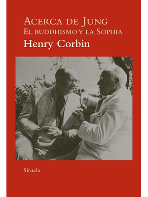 Acerca De Jung El Buddhismo Y La Sophia